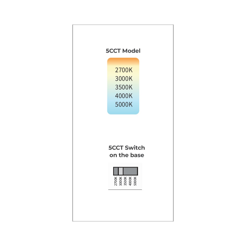 ST19 Colour Temperature Selectable - Image 2
