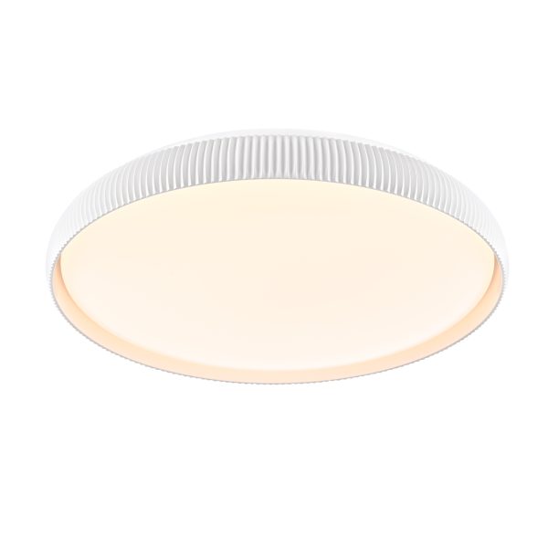 Fundy 20" Flush Mount